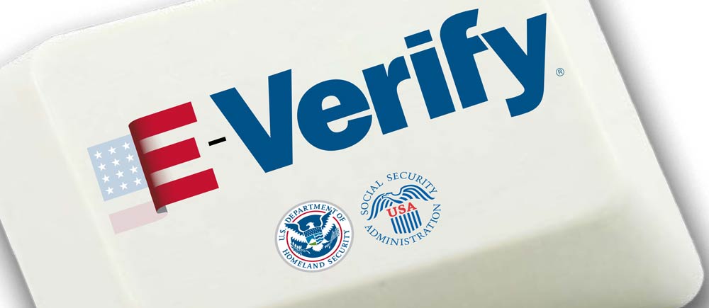 Image of the E-Verify logo