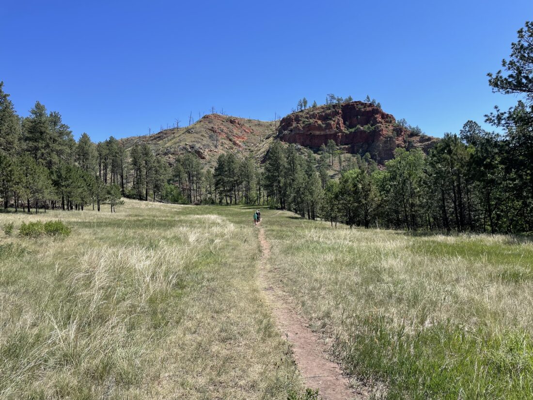 Traveling across the Great Plains inspires a reflection on deep time as Aaron Sawatsky-Kingsley explores the landscapes, forests and geological history that shape our understanding of the natural world.