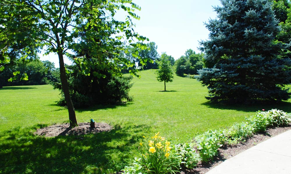 A view of the park looking East from the cabin