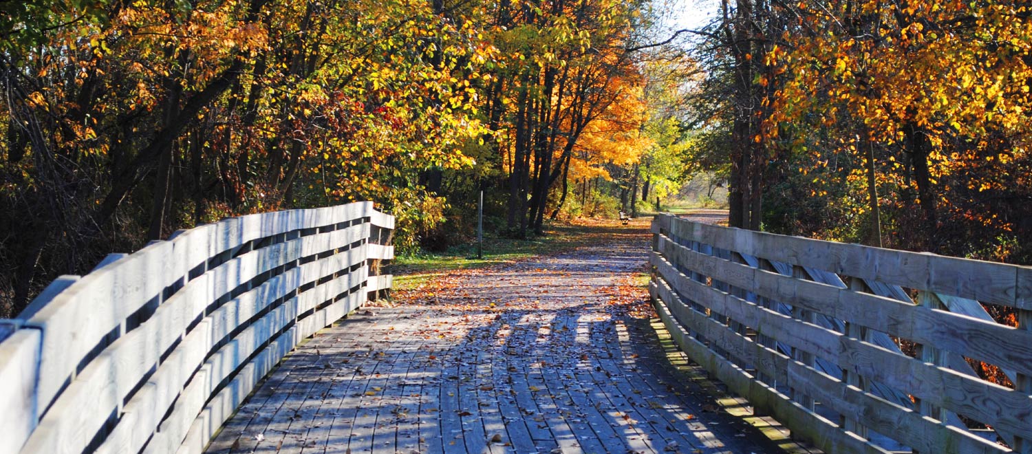 Fidler Pond Park